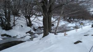 MasBarque-date (114)