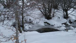 MasBarque-date (115)