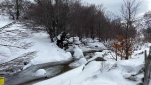 MasBarque-date (116)