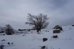 MasBarque-date (118)