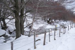 MasBarque-date (119)