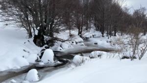 MasBarque-date (120)