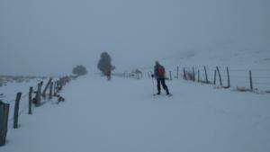 MasBarque-date (167)