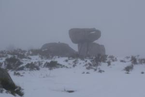 MasBarque-date (176)