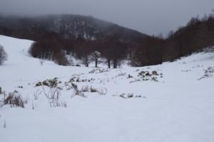 MasBarque-date (186)