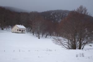 MasBarque-date (194)