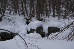 MasBarque-date (198)