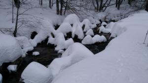 MasBarque-date (206)