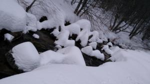 MasBarque-date (207)