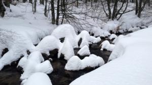 MasBarque-date (208)