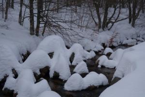 MasBarque-date (215)