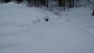 MasBarque-date (216)