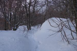 MasBarque-date (269)