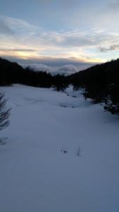 MasBarque-date (277)