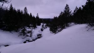 MasBarque-date (281)