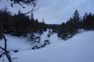 MasBarque-date (282)