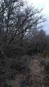 Speleo-date (5)