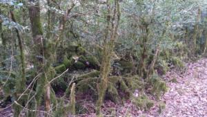 Speleo-date (6)