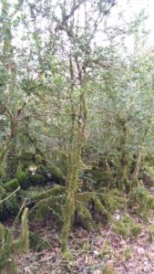 Speleo-date (7)