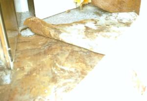 crbst img0772