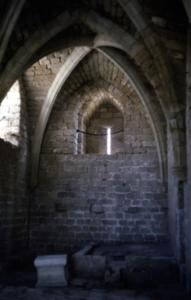 crbst img03013
