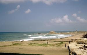 crbst img03410