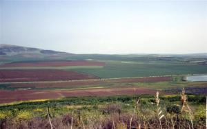 crbst img0743