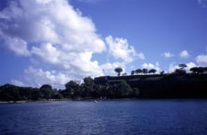 crbst img04761