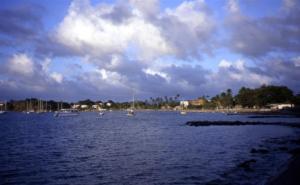 crbst img05153