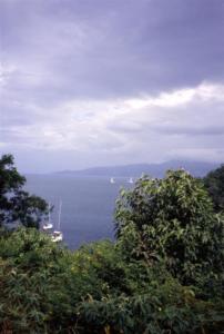 crbst img05350