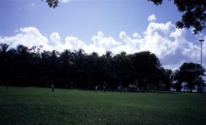 crbst img05550