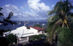 crbst img06243