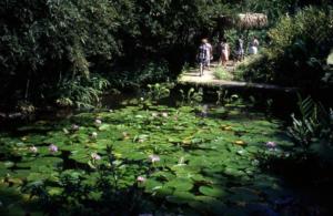 crbst img06442