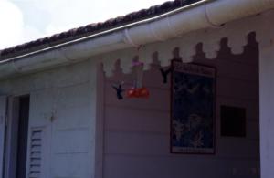 crbst img07036