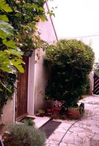 crbst img027105