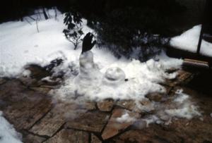 crbst img12116