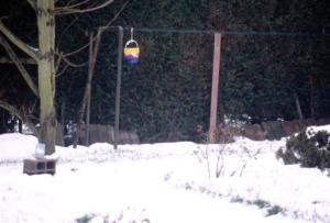crbst img12316