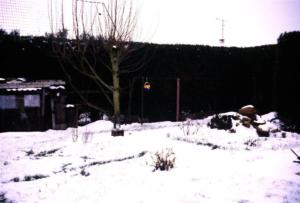 crbst img12616