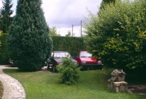 crbst img12816
