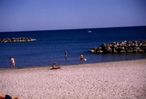 crbst img05655