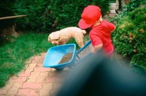 crbst img024116