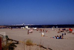 crbst img12117