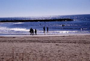 crbst img13316