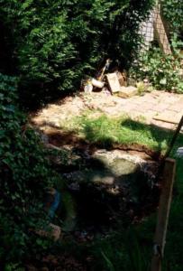crbst img14711
