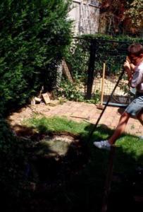 crbst img14811