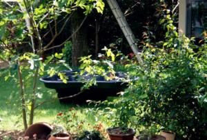 crbst img14911