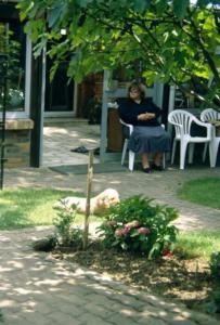 crbst img027 20 28large 29