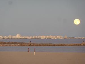 P1480577