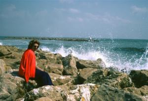 incla (467)