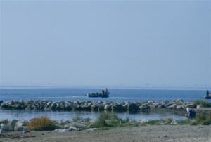 incla (552)